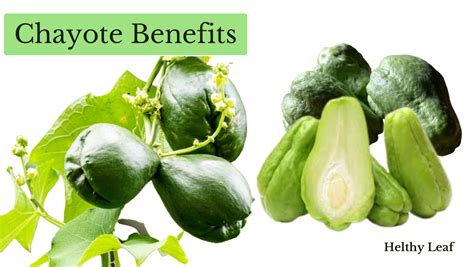 chayote nutrition benefits|chayote vegetable health benefits.